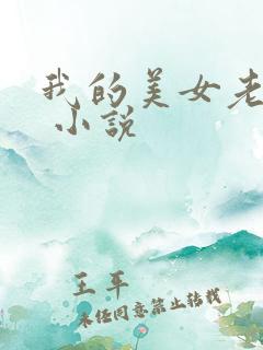 我的美女老婆们 小说
