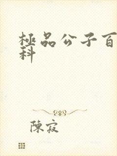 极品公子百度百科