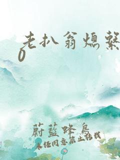 老扒翁熄系列40