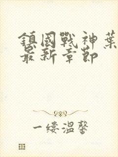 镇国战神叶君临最新章节