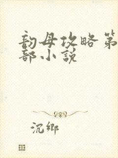 韵母攻略第12部小说