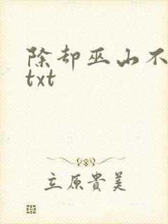 除却巫山不是云txt