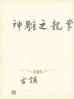 神雕之龙掌门