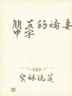 朋友的娇妻hd中字