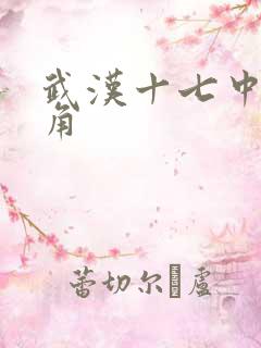 武汉十七中女主角