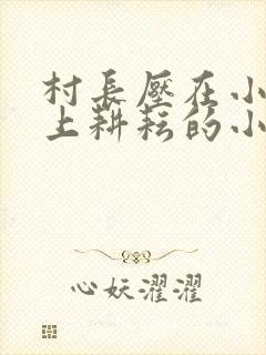 村长压在小娥身上耕耘的小说