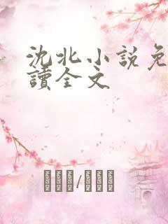 沈北小说免费阅读全文