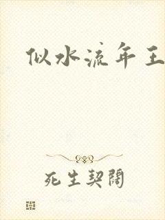 似水流年王小波