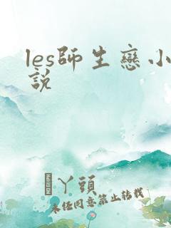 les师生恋小说