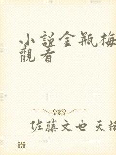 小说金瓶梅在线观看