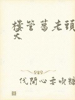 楼管葛老头的春天