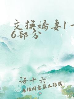 交换娇妻1一36部分