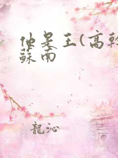 他是王(高干)苏南