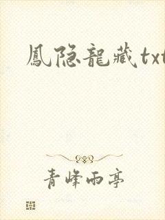 凤隐龙藏txt