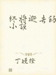 终将逝去的青春小说