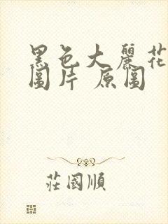 黑色大丽花真实图片 原图