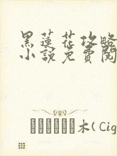 黑莲花攻略手册小说免费阅读