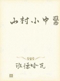 山村小中医