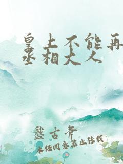 皇上不能再进了丞相大人