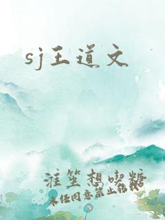 sj王道文