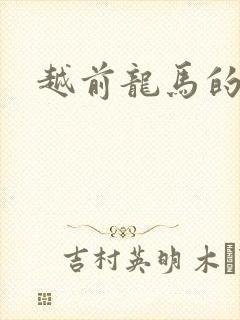 越前龙马的小说