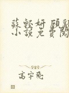 苏轻妍 顾辞笙小说免费阅读