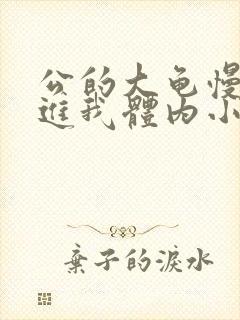 公的大龟慢慢挺进我体内小说