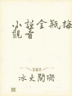 小说金瓶梅在线观看