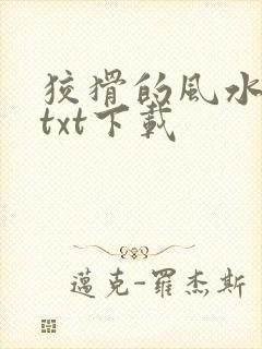 狡猾的风水相师txt下载