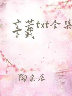 寸芒txt全集下载