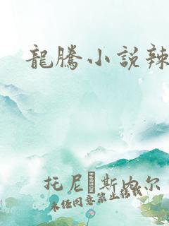 龙腾小说辣文网