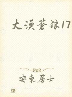 大漠苍狼17