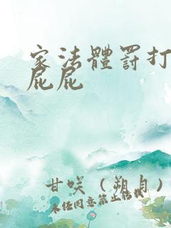 家法体罚打丫鬟屁屁