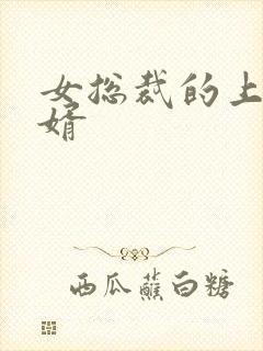 女总裁的上门女婿