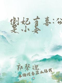 侧妃有喜:公主是小妾