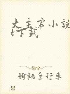 大主宰小说txt下载