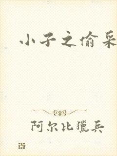 小子之偷采双圣