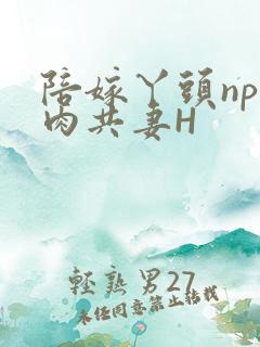 陪嫁丫头np全肉共妻H