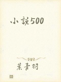 小说500
