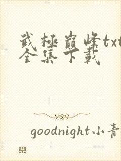 武极巅峰txt全集下载