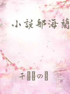 小说那海兰珠