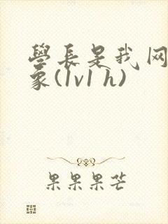 学长是我网恋对象(1v1 h)