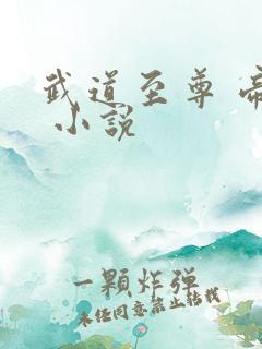 武道至尊 帝临 小说