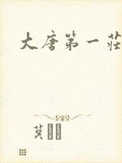 大唐第一庄