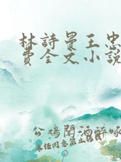 林诗曼王忠文免费全文小说的名称