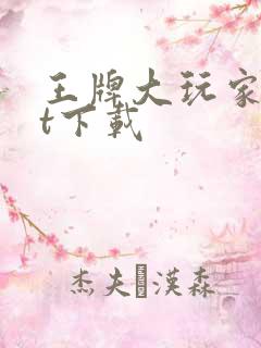 王牌大玩家txt下载