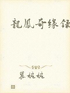 龙凤奇缘录
