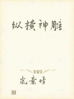纵横神雕
