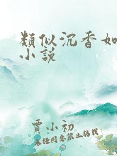 类似沉香如屑的小说