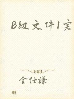 B级文件1完整